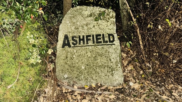 A picture of a sign outside the Ashfield Estate in Carlow Town, where a woman was injured in a dog attack
