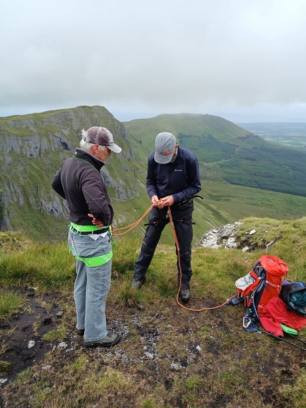 Alpine (Arctic) Saxifrage Documentary