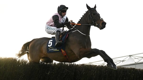 Kildare , Ireland - 23 November 2025; Heart Wood, with Darragh O'Keeffe up, during the John Durkan Memorial Punchestown Steeplechase on day two of the Punchestown Premiere Weekend at Punchestown Racecourse in Kildare. (Photo By Seb Daly/Sportsfile via Get