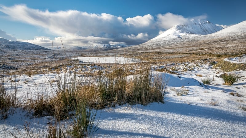 Sneachta briosc sa luachair, Dún na nGall