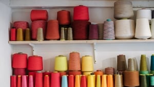 When Cosy and Cash Sync show image