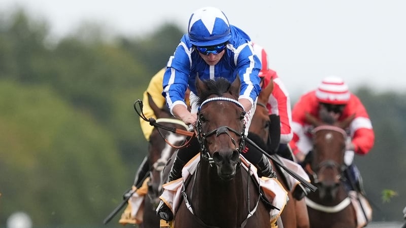 The Reverend proved a progressive performer on the Flat last season