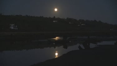 Wolf supermoon on display in The Gearagh, County Cork