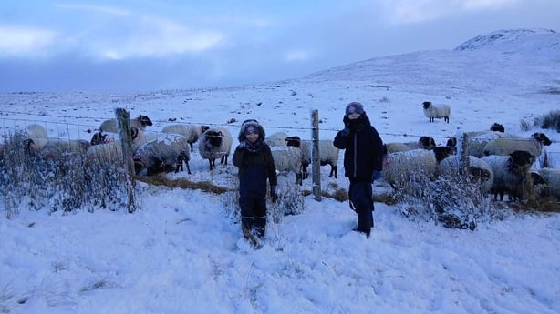 Two children stand in snow by a field with sheep