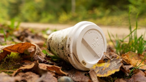 Old disposable coffee cup on the ground