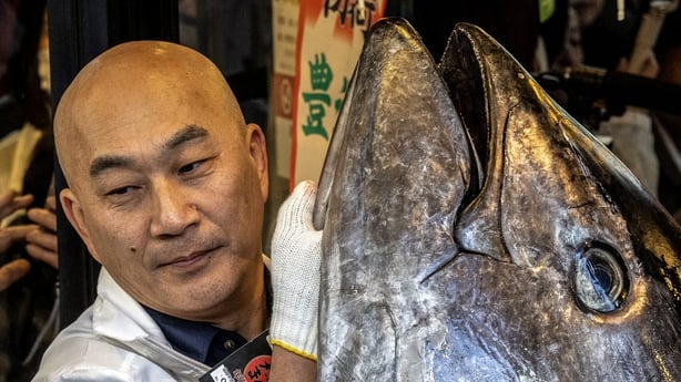 a man holds up the head of a blue fin tuna