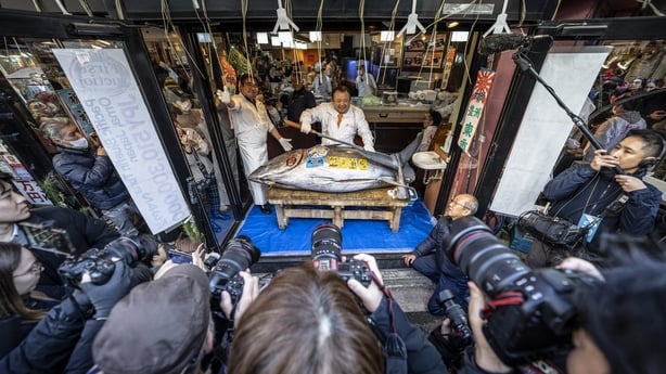 photographers take pictures of a man standing behind a table with a large tuna fish on it