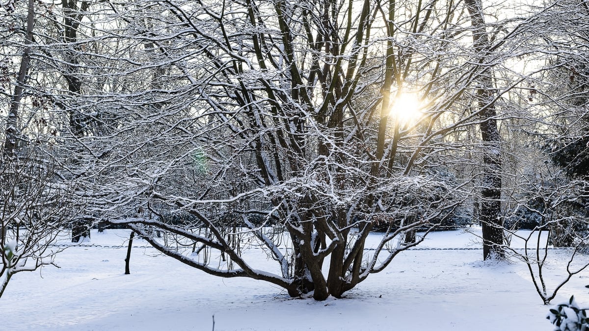 Six dead in weather accidents as cold snap grips Europe