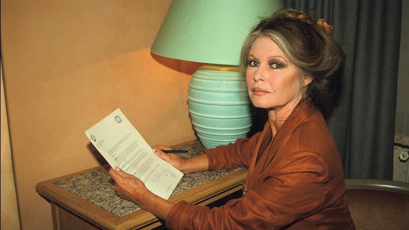 Brigitte Bardot, pictured in September 1991