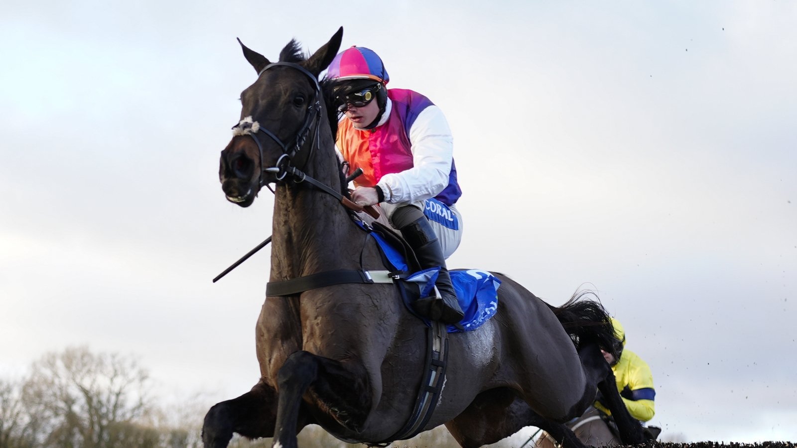Haiti Couleurs could get Dublin trip before Cheltenham