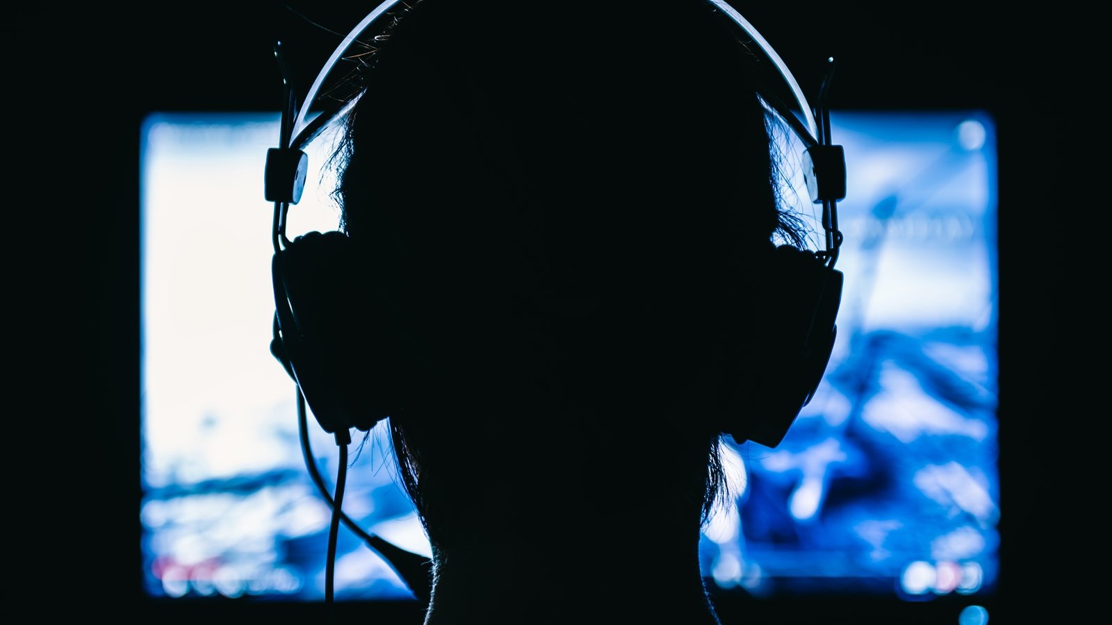 Trial of 'White Tiger' online predator begins in Germany