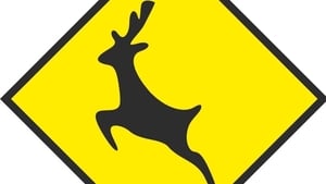 An Comhairleoir Contae John Shéamuis Ó Fearraigh. show image