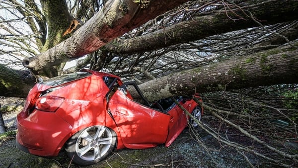 Falmouth University student's car crushed outside her rented accommodation by fallen trees during Storm Goretti
