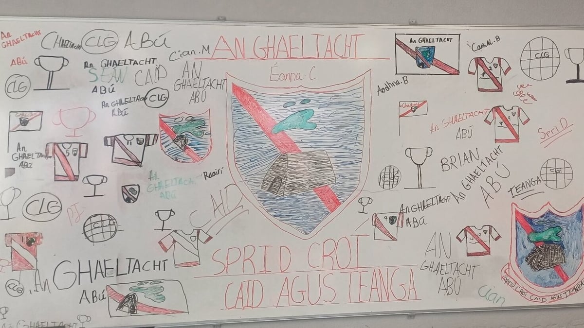 Leanaí Scoil Mhaolchéadair