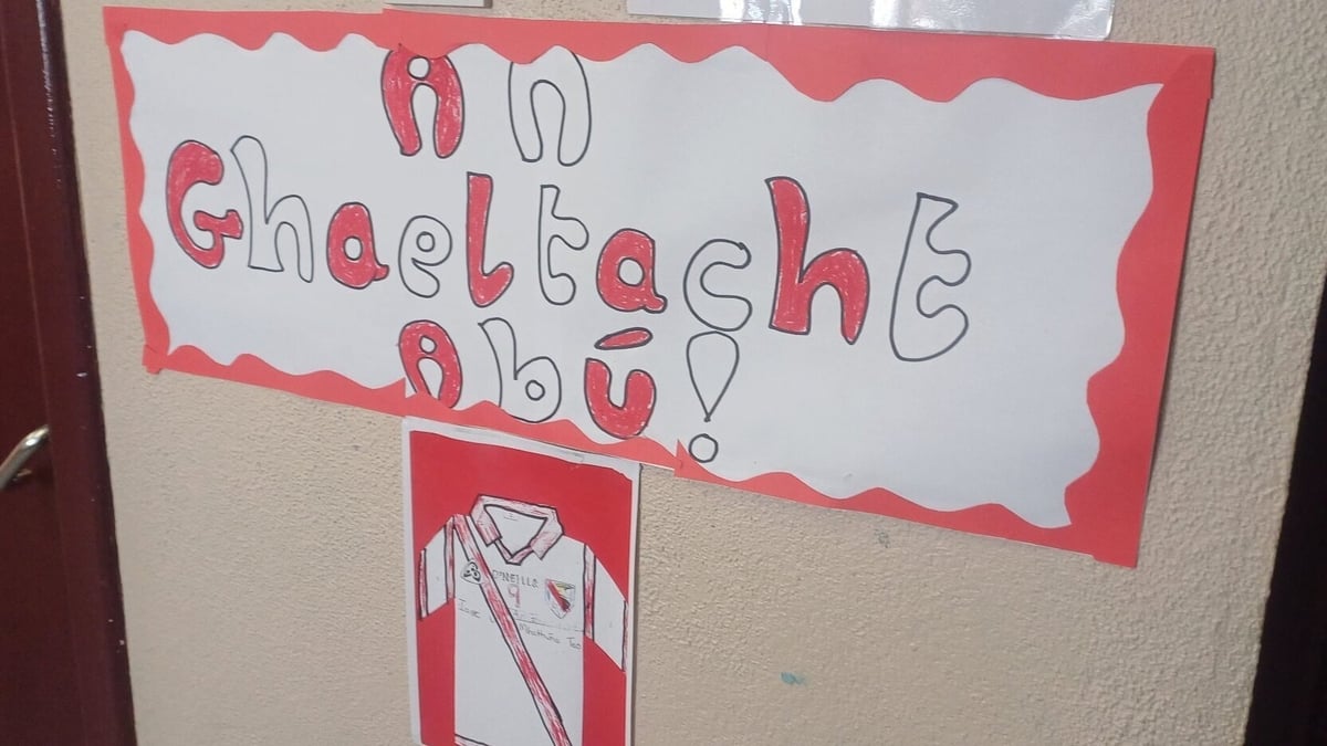 Leanaí Scoil Mhaolchéadair
