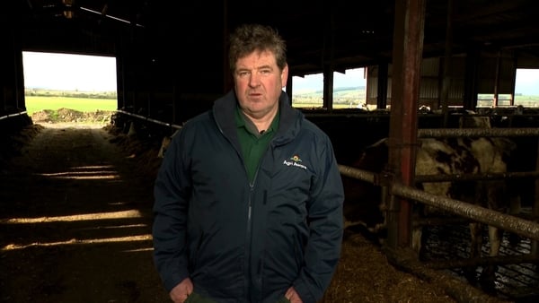 Farmer Shay Galvin stands on his farm in Co Limerick