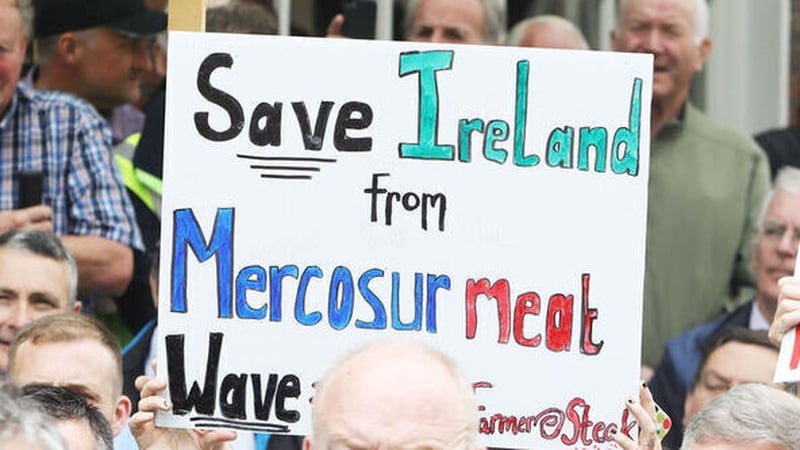 Opposition TDs said the Government didn't do enough to oppose the Mercosur deal