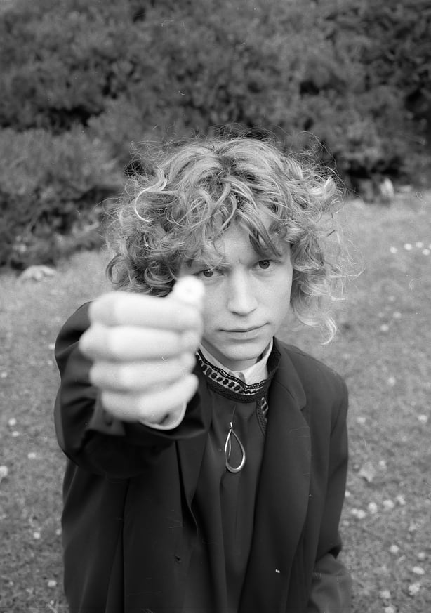 Goldbug by Rosie Feeney