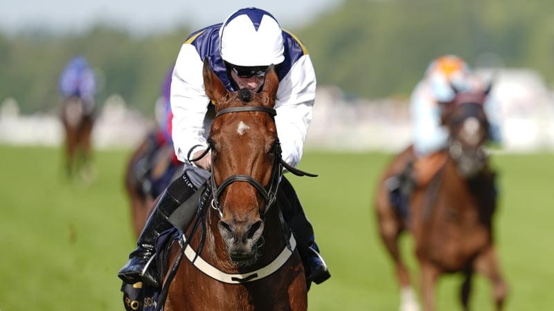 Sober enhanced his credentials over hurdles