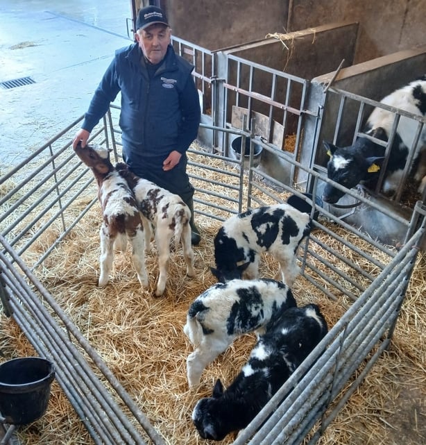 A farmer with five calves in Tyrone