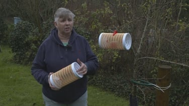 Beekeepers say Asian hornets remain a 'major threat'