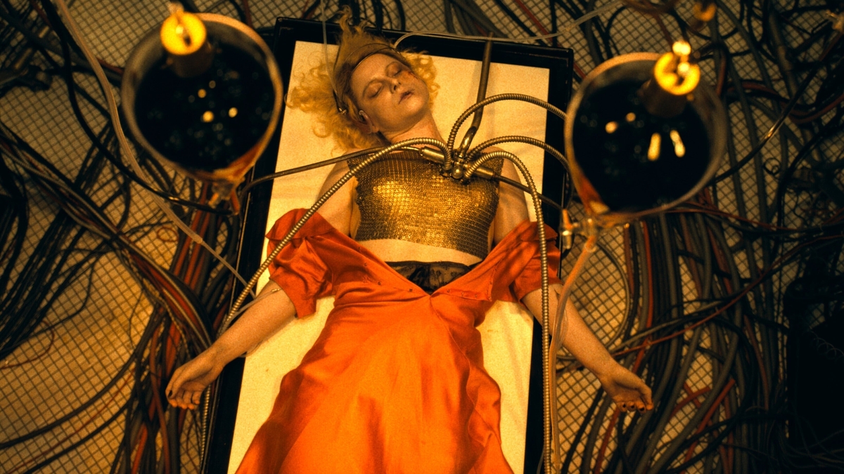 Culture 5 with Derek O'Connor