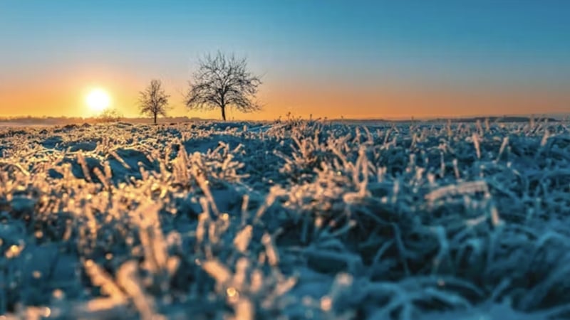 'We humans are part of nature, after all, which is why it feels so restorative to drop our busyness for a while and reconnect.' Photo: Wirestock Creators/Shutterstock