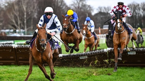 26 December 2025; Jack Kennedy on El Cairos leads before falling at the last during the Thorntons Recycling Maiden Hurdle on day one of the Leopardstown Christmas Festival at Leopardstown Racecourse in Dublin. Photo by Shauna Clinton/Sportsfile