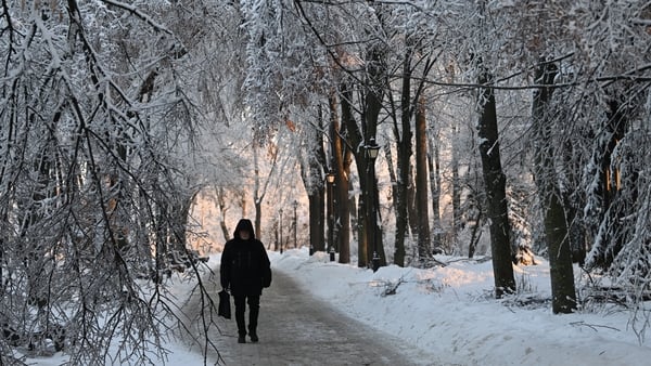 A man walks through a snow-covered park in Kyiv on January 19, 2026