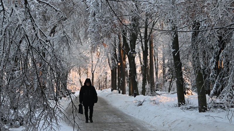 A man walks through a snowy park in Kyiv yesterday as temperatures in the city dropped to -15C
