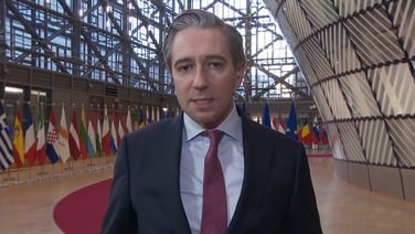 Next number of days 'crucial' for EU-US relationship - Tánaiste