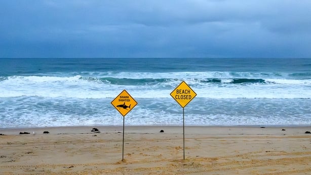 Warning signs at North Steyne Beach in Sydney yesterday