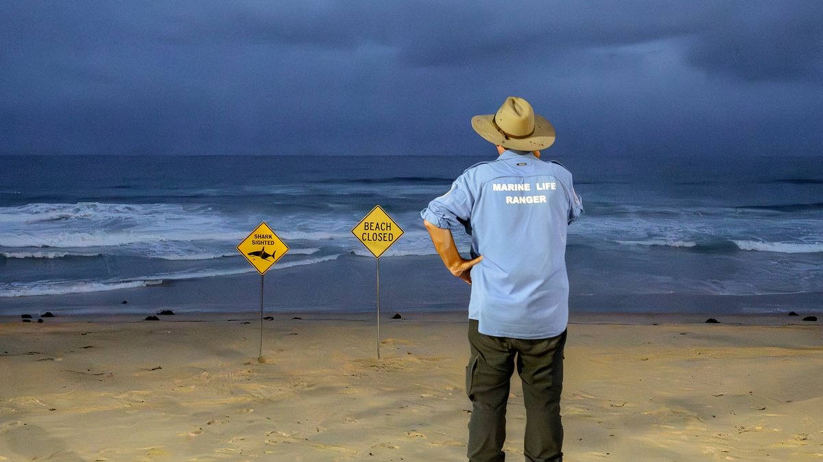 4th shark attack in Sydney as 12 year old severely injured 