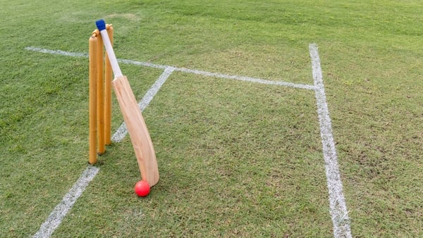 Cricket stumps and bat on field