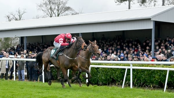 25 January 2024; Glengouly, with Paul Townend up, on their way to finishing second in the Goffs Thyestes Handicap Steeplechase at Gowran Park in Kilkenny. Photo by Seb Daly/Sportsfile