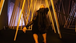 Patient Labyrinth show image