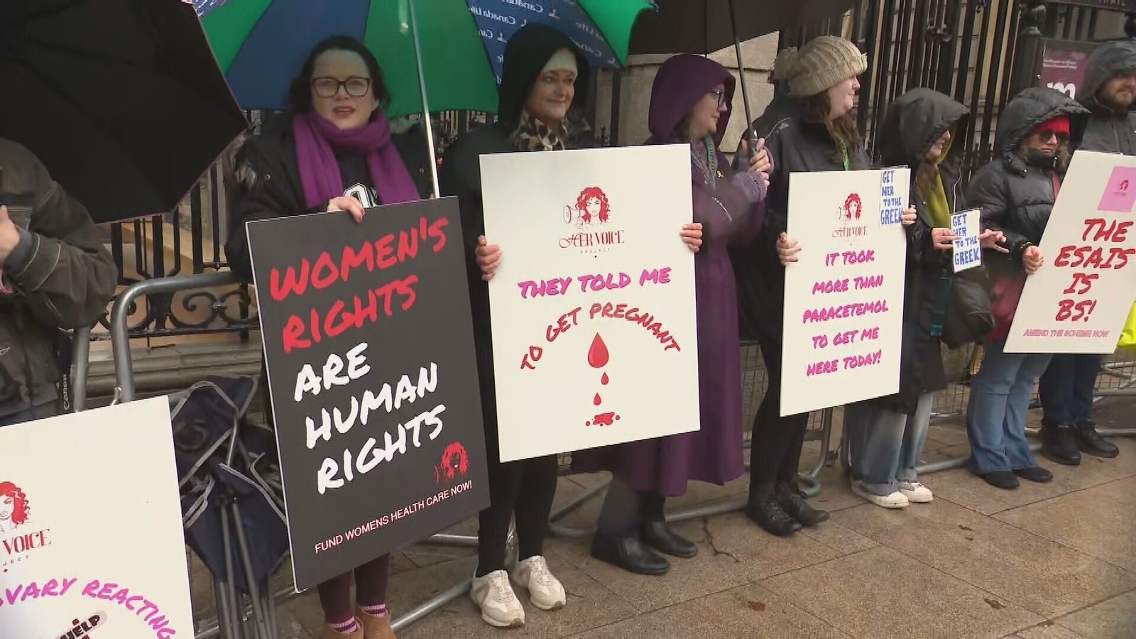 Protesters highlight issues with endometriosis framework