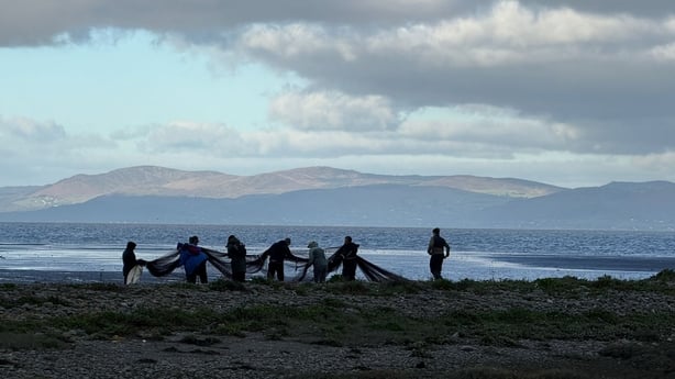 The Marine Institute is seeking the help of "citizen scientists" to track the movements of Oystercatcher birds in Dundalk Bay.