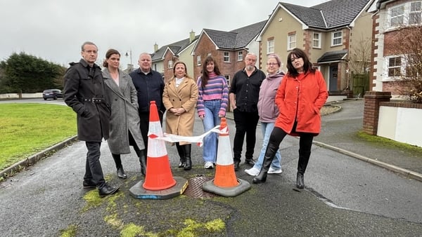 An Gairdín Keshcarrigan village - pic - RTE