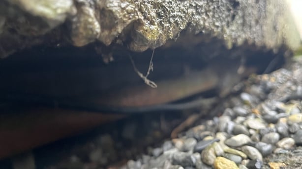 Residents of An Gairdín in Keshcarrigan village - pic - RTE