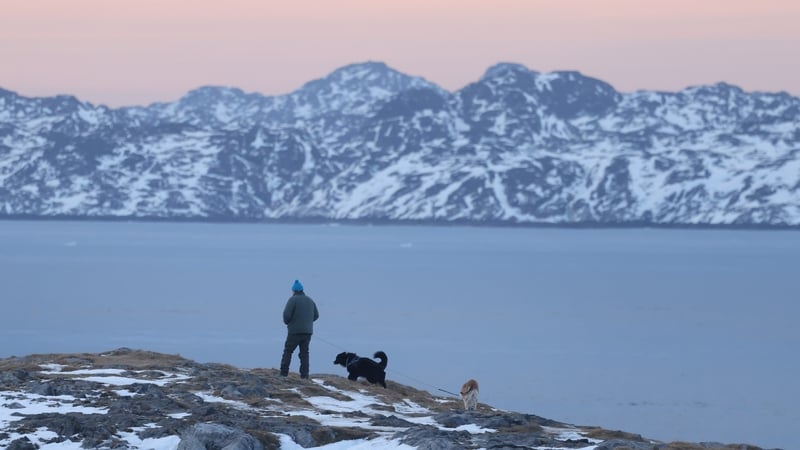 A man walks his dogs while looking over a fjord in Greenland - Donald Trump walked back his most aggressive threats on the island