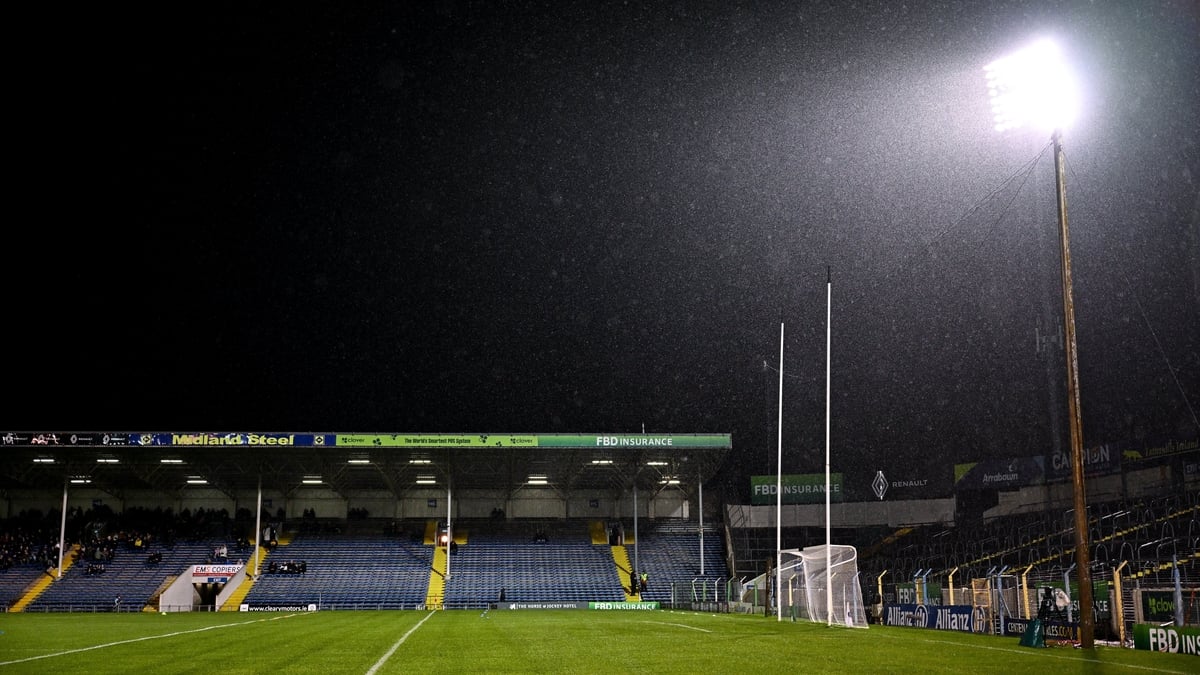 "I opened up the purse, everything was in it"