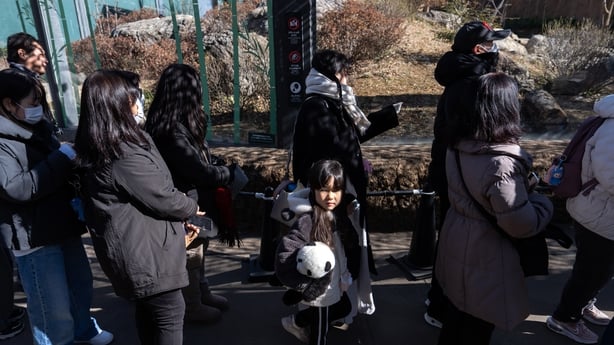 People wait in line to watch twin giant pandas 