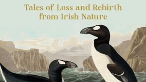 The Living And The Dead show image