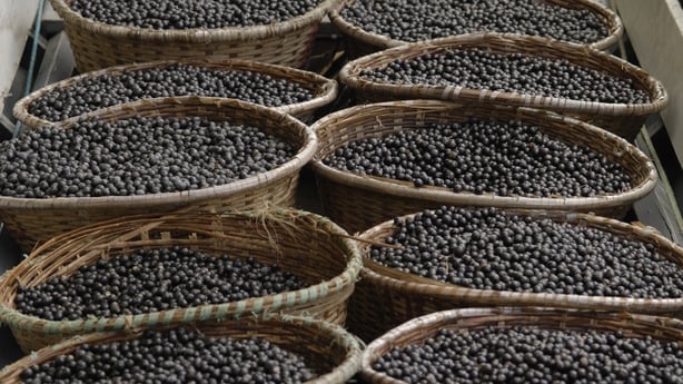 Baskets filled with freshly harvested açaí berries 