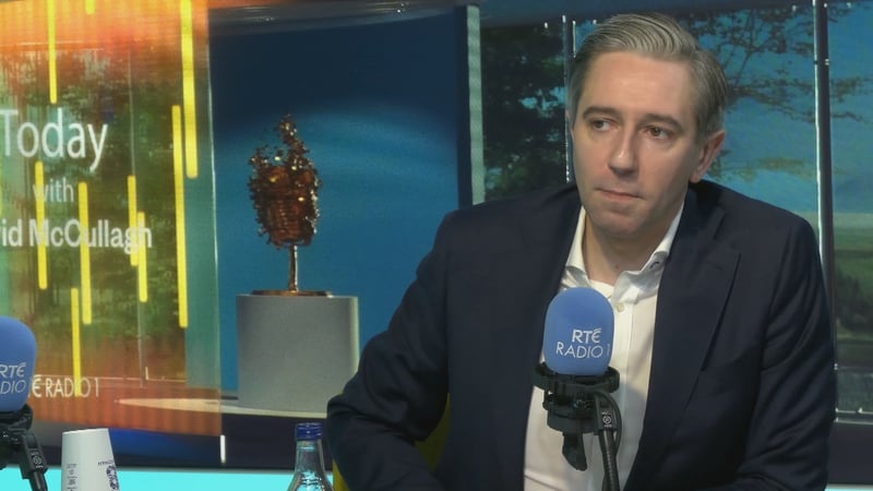 Simon Harris said a balanced approach on the issue of homelessness and migration is needed