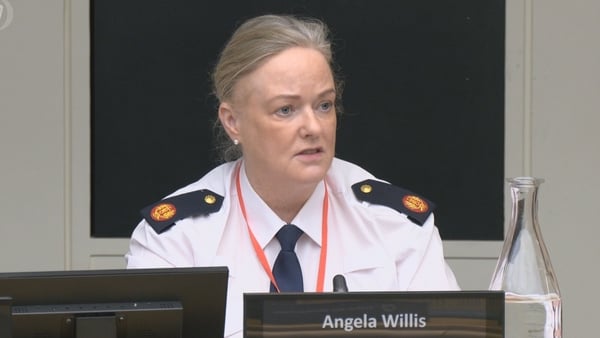 Angela Willis at Oireachtas Committee
