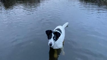 news2day Thursday, 29 January 2026