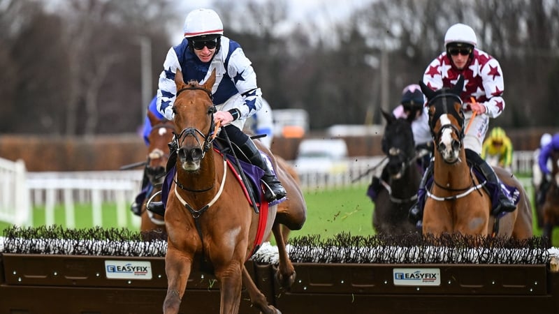 El Cairos will go straight to Cheltenham