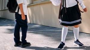 Skirts or Trousers – Schoolkids fight for legal right to choice show image